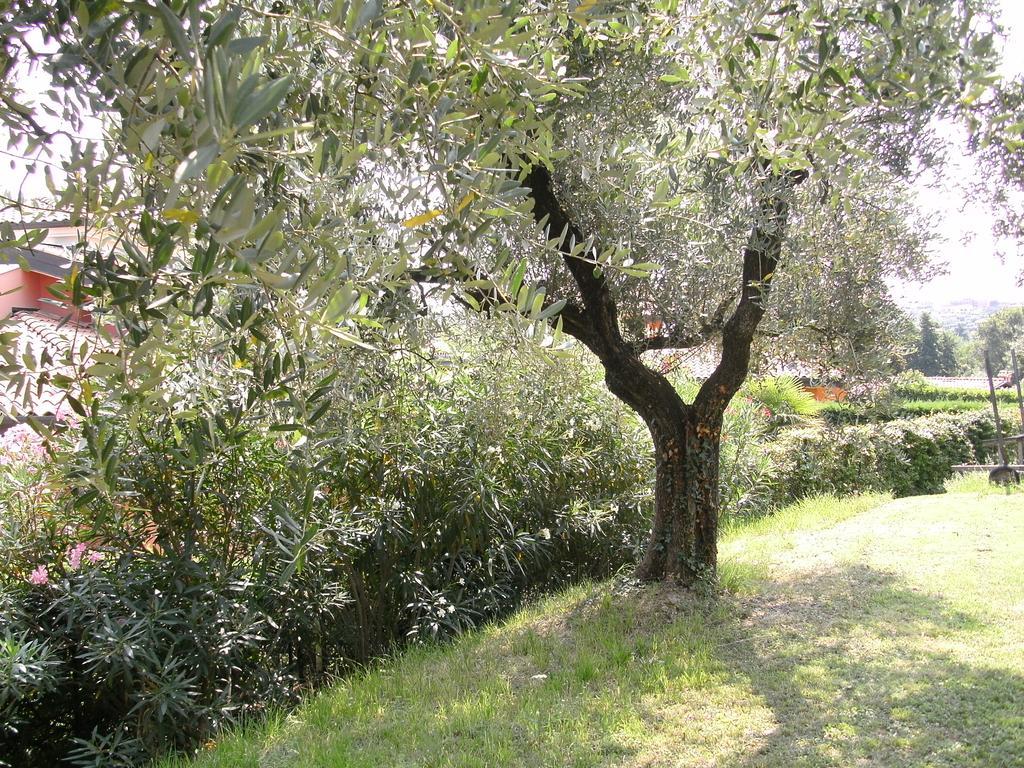 B&B Agli Ulivi Манерба дел Гарда Екстериор снимка